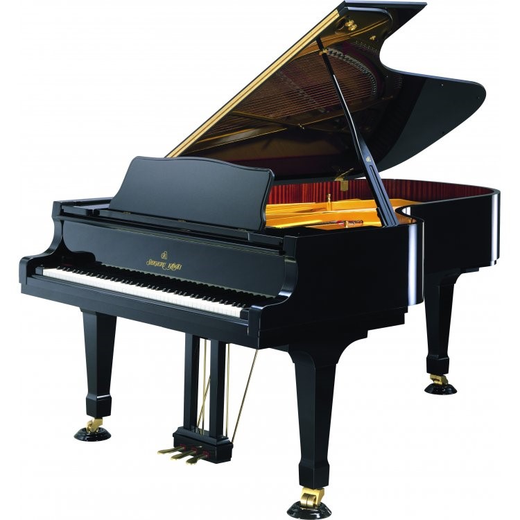 stt19
