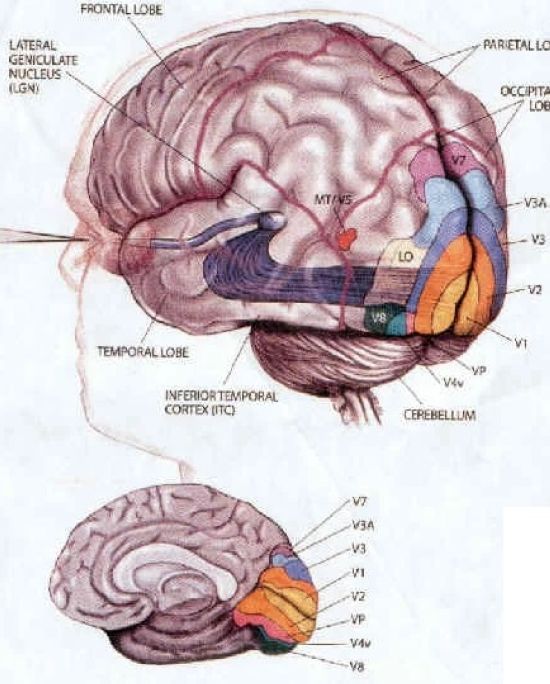 szi13