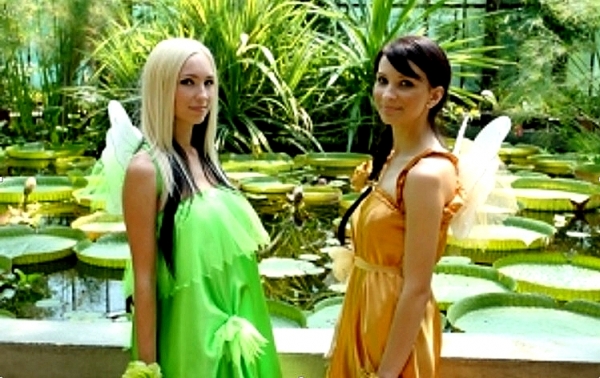 Cs.K&aacute;d&aacute;r P&eacute;ter - XXI. sz&aacute;zadi Diszk&oacute;nika, 77. Pillang&oacute;, lepkesz&aacute;rny&uacute; pillang&oacute;