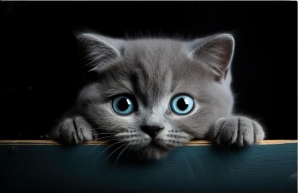 Cs. K&aacute;d&aacute;r P&eacute;ter - XXI. sz&aacute;zadi Diszk&oacute;nika, 512. Elm&eacute;lkedj a sz&iacute;nekről! &ndash; Vizsg&aacute;latok &eacute;s ellentmond&aacute;sok, harmadik kupac