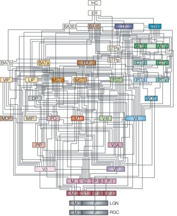 Cs. K&aacute;d&aacute;r P&eacute;ter - XXI. sz&aacute;zadi Diszk&oacute;nika, 501. L&aacute;ss a k&eacute;regbe!