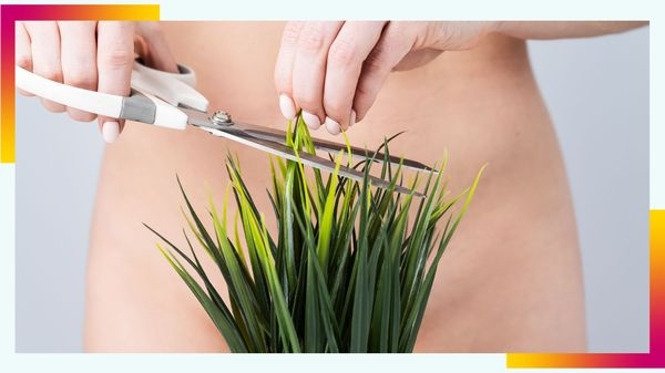 Cs. K&aacute;d&aacute;r P&eacute;ter - XXI. sz&aacute;zadi Diszk&oacute;nika, 484. Az engedelmes f&eacute;ny