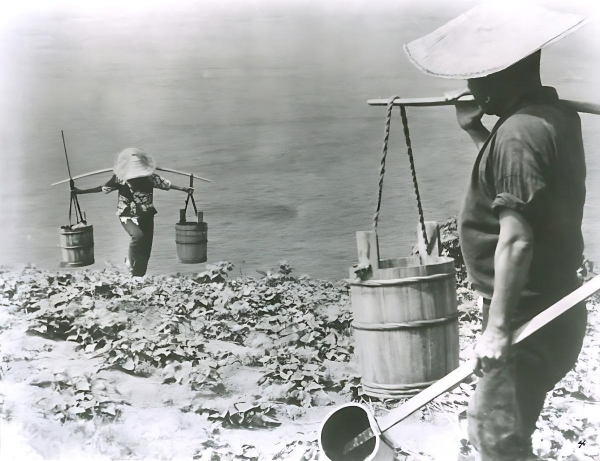 Cs. K&aacute;d&aacute;r P&eacute;ter - XXI. sz&aacute;zadi Diszk&oacute;nika, 537. Hangosfilm technika &eacute;s hangeszt&eacute;tika, &ouml;t&ouml;dik elm&eacute;lked&eacute;s &ndash; A kop&aacute;r sziget