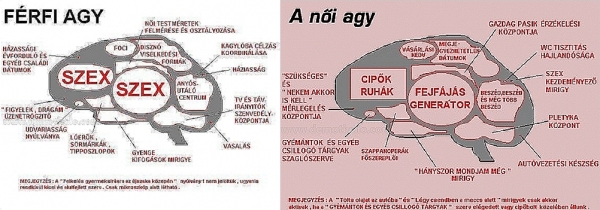 Cs.K&aacute;d&aacute;r P&eacute;ter - XXI. sz&aacute;zadi Diszk&oacute;nika, 34. Agymen&eacute;s