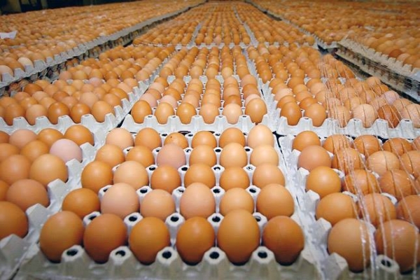 Cs.K&aacute;d&aacute;r P&eacute;ter - XXI. sz&aacute;zadi Diszk&oacute;nika, IX. A toj&aacute;start&oacute; doboz titkai