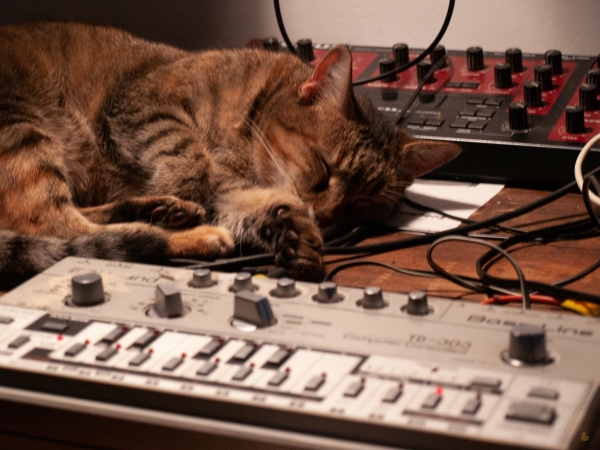 Cs. K&aacute;d&aacute;r P&eacute;ter - XXI. sz&aacute;zadi Diszk&oacute;nika, 283. Programokba b&uacute;jt TB-303